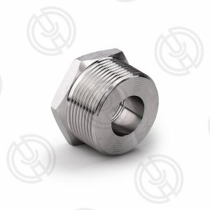 Forged Screwed-Threaded Bushing (1)