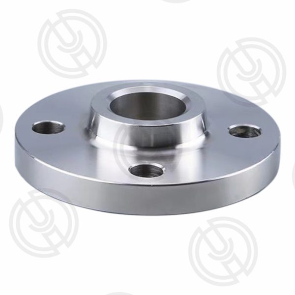 Slip On Flange (3)