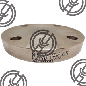 C70600 Flanges