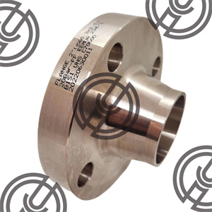 C70600 Flanges