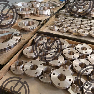 C70600 Flanges